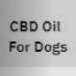 CBD Oil For Dogs