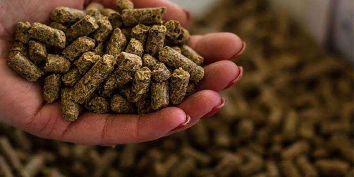 Animal Feed Antioxidants Market Size and Growth | Global Key Manufacturers Analysis Report By 2028