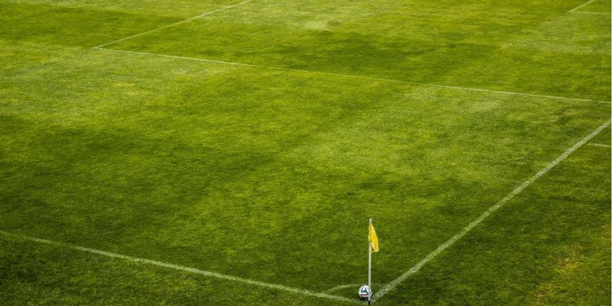 Artificial Turf Market 2022, COVID-19 Impact, Market Trends, Share, Size and Forecast Till 2028 
