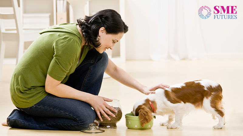 Pet care industry grows after pandemic; attracts FMCG companies
