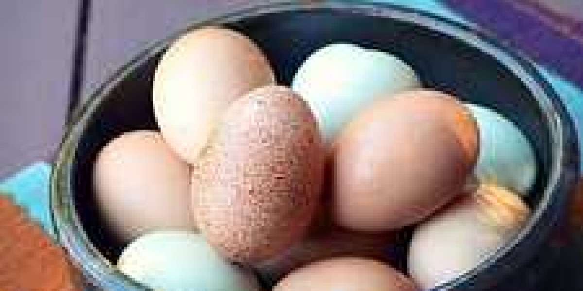 Healthy Cage Free Eggs Market by Manufacturers, Types, Regions and Application Research Report
