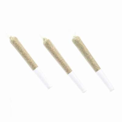 Buy Pre Rolled Joint 0.5g | Smart Budz Profile Picture