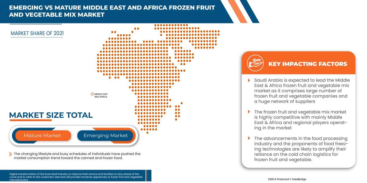 Middle East and Africa Frozen Fruit and Vegetable Mix Marketby Industry Perspective, Comprehensive Analysis, Growth and 