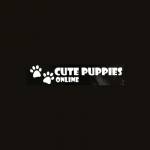 cs puppies LLC