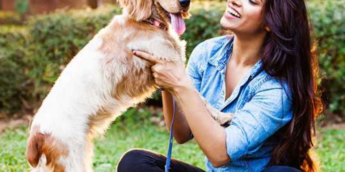 Pet Boarding in Gurgaon: A Home Away From Home for Your Beloved Pets