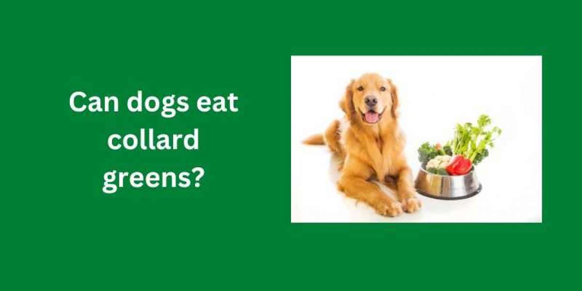 Can Dogs Eat Collard Greens? A Guide to Feeding Your Canine Friend